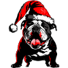 Cute Frenchie with Santa hat