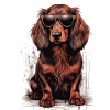 Langhåret gravhund med solbriller til gravhundefans