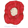A poppy's lullaby