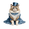 Belle dame chat