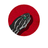 Schildkröte