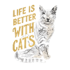 Life is better with cats