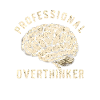 Professional overthinker