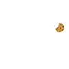 Always hungry bright design