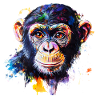 Comparison of humans and chimpanzees