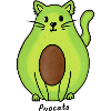 Avocato