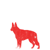 4. Juli USA Schäferhund