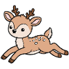 Roe deer
