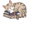 Purrfectly Bookish