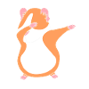 Guinea pig
