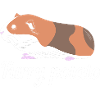 Guinea pig