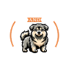 Coffee and Šarplaninac