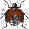 Ladybird
