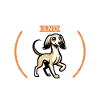 Coffee and Saluki