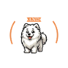 Café et Samoyède