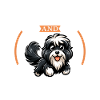 Coffee and Schapendoes