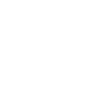 Pony