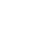 Pony