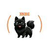 Coffee and Schipperke