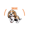 Café et Swiss Hound