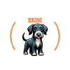 Coffee and Deerhound