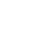 Pony