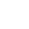 Pony
