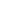Pony
