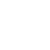 Pony