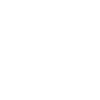 Pony