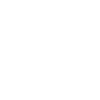 Pony
