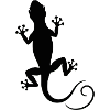 gecko