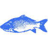 Pisces