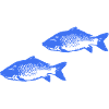 Pisces