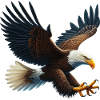 Eagle