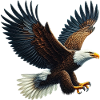 Eagle