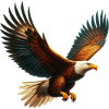 Eagle