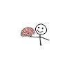 Hirn verloren 