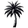 Palmier noir blanc