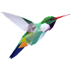 Low-Poly-Vogel