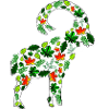 Ibex leaves