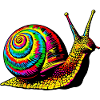 Escargot