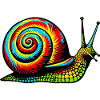 Snail