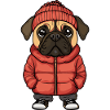 Bullmastiff Dog Winter
