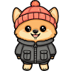 Pomeranian Dog Winter Pomeranian