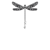 Glückslibelle Lucky Dragonfly