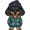 Dackel DachsHund Winter
