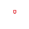 Hamburger Jung