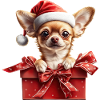 Chihuahua Santa Gift