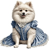 Noble dog